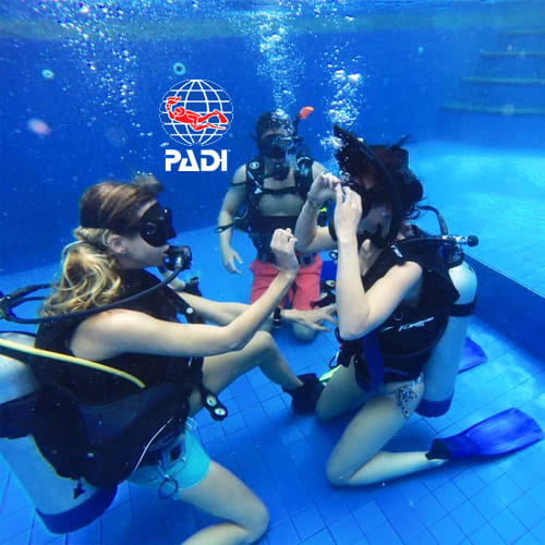 Diving PADI Scuba Diving Courses in Roatan
