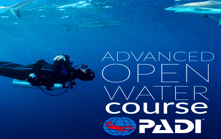 Roatan Advanced Open Water Course