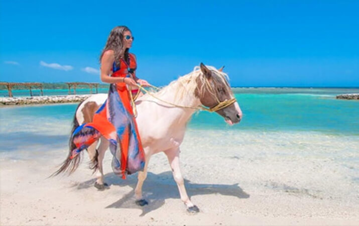 Roatan horseback riding excursion tour