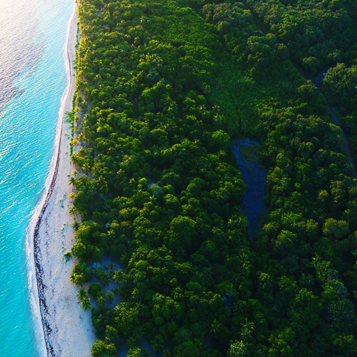 Hiking Experience in Roatan