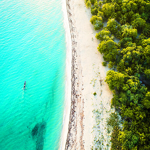 Hiking Experience in Roatan