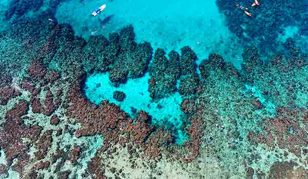 Coral Reef in West Bay, Roatan