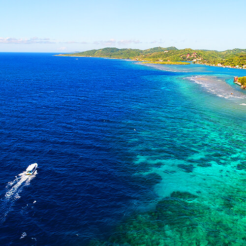 Diving in East End Roatan and Best diving sites