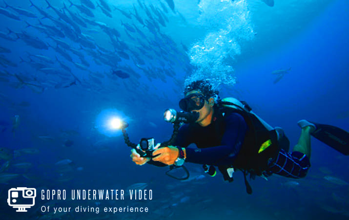 Roatan GoPro Video Experience