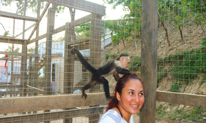 roatan monkey and sloth hangout plus atv adventure