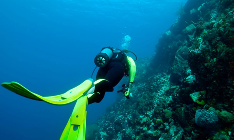 roatan dive