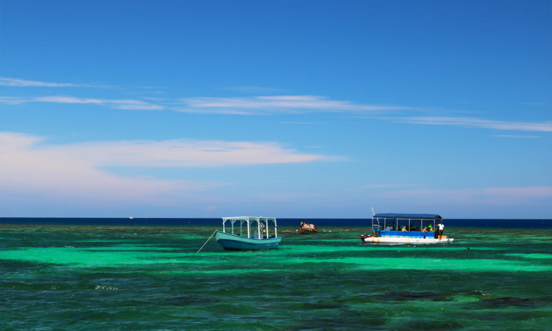 roatan snorkeling shipwreck