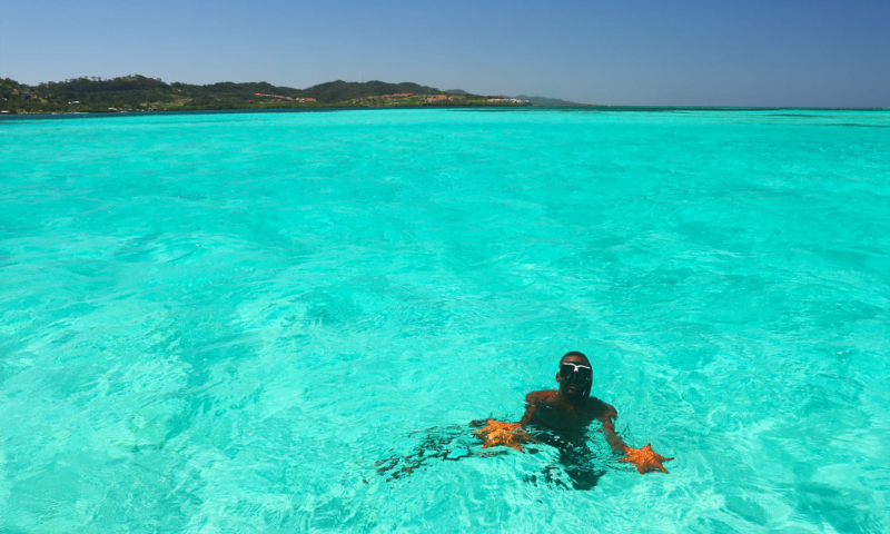 roatan starfish snorkeling