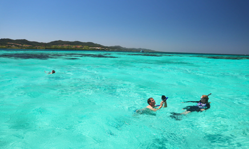 roatan starfish snorkeling