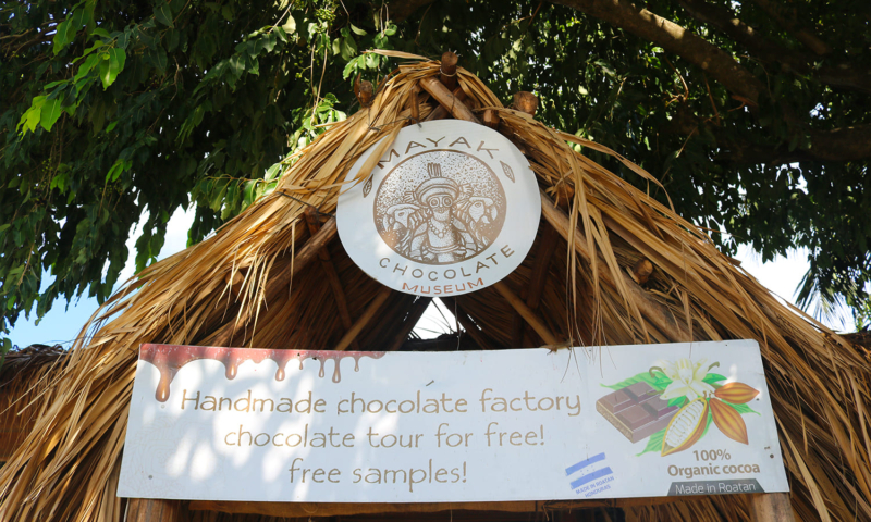 Roatan chocolate tour