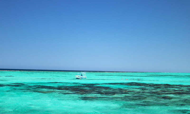 roatan speedboat snorkeling
