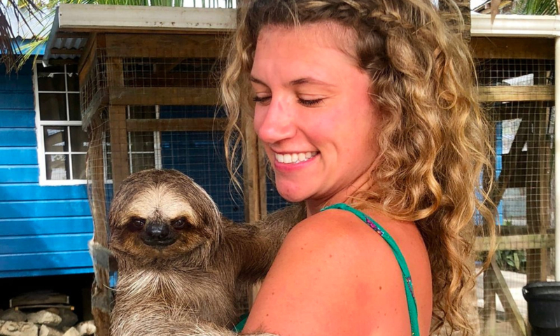 Daniel Johnsons sloths