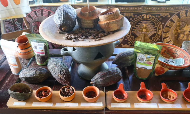 Roatan chocolate factory