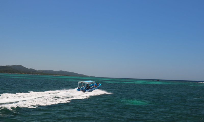roatan speedboat snorkeling
