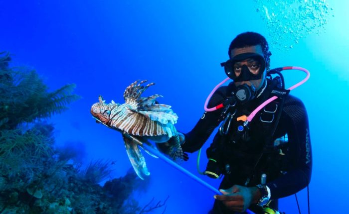 roatan lionfish scuba