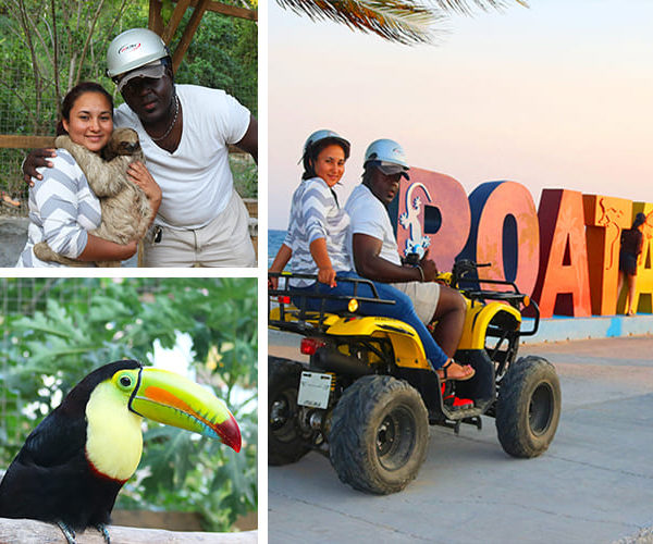 Roatan Atv sloth tour