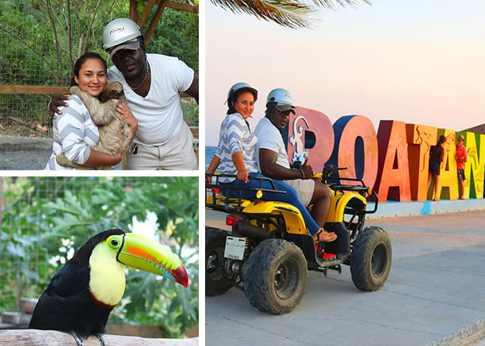 Roatan Atv sloth tour