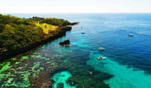 Reef Snorkeling Tours Roatan