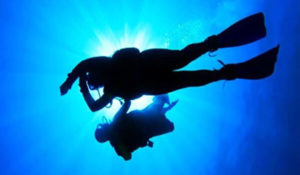 utila diving packages