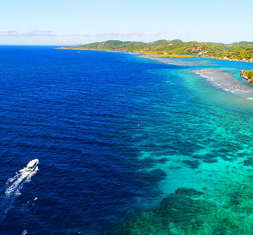 Roatan Boat Charters Tours