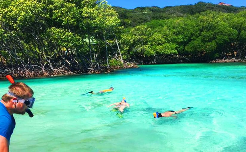 East Roatan Mangrove Tunnel Tours