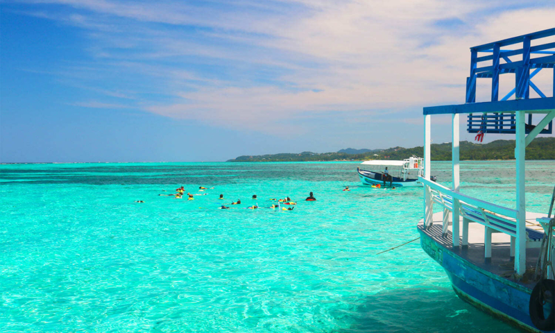 roatan catamaran sail & snorkel
