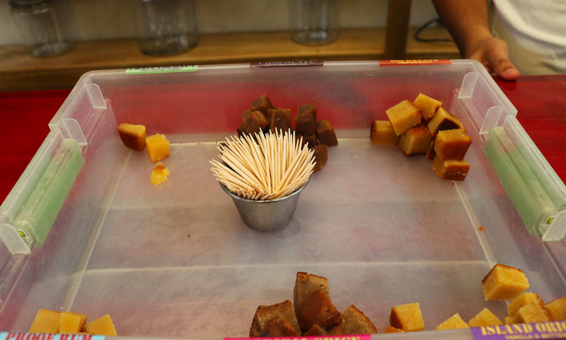 roatan chocolate tour