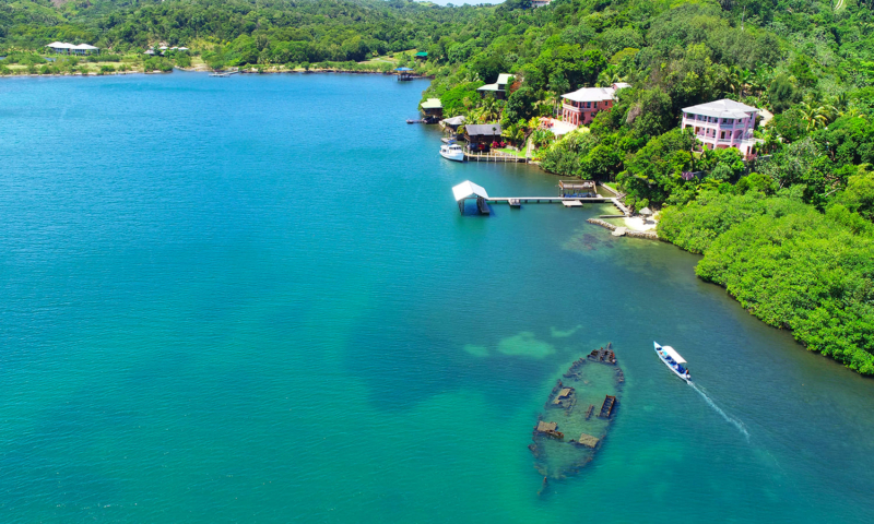 roatan mangrove tunnel tour