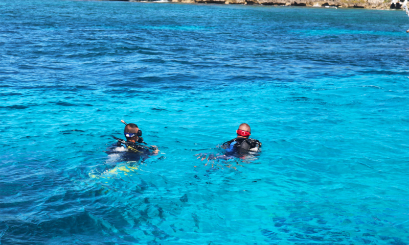 learning to dive roatan