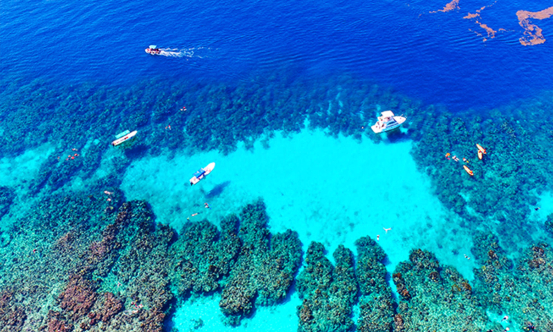 roatan west bay snorkeling