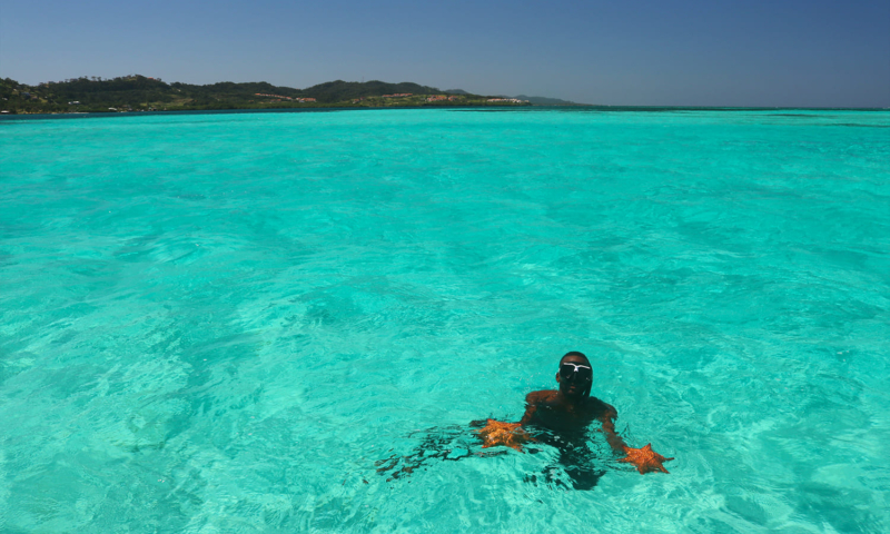 roatan starfish snorkeling tour