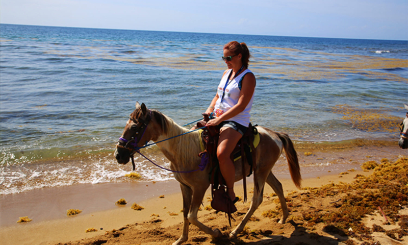 horseback riding roatan honduras
