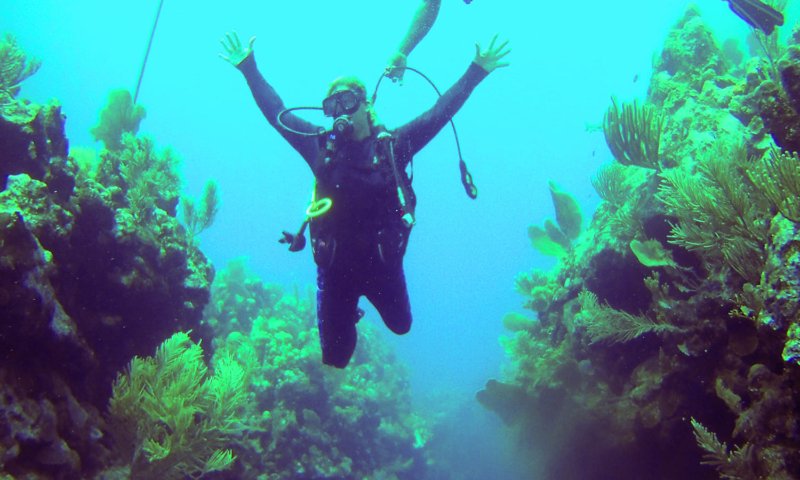 dive shop roatan