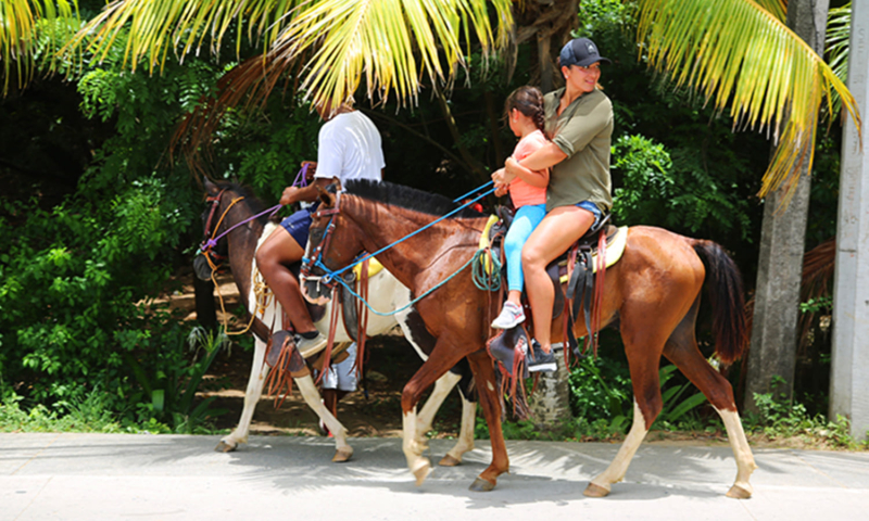 horseback riding roatan honduras