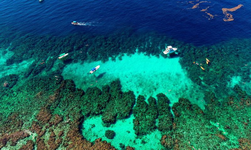 semi-sub glass bottom boat roatan honduras