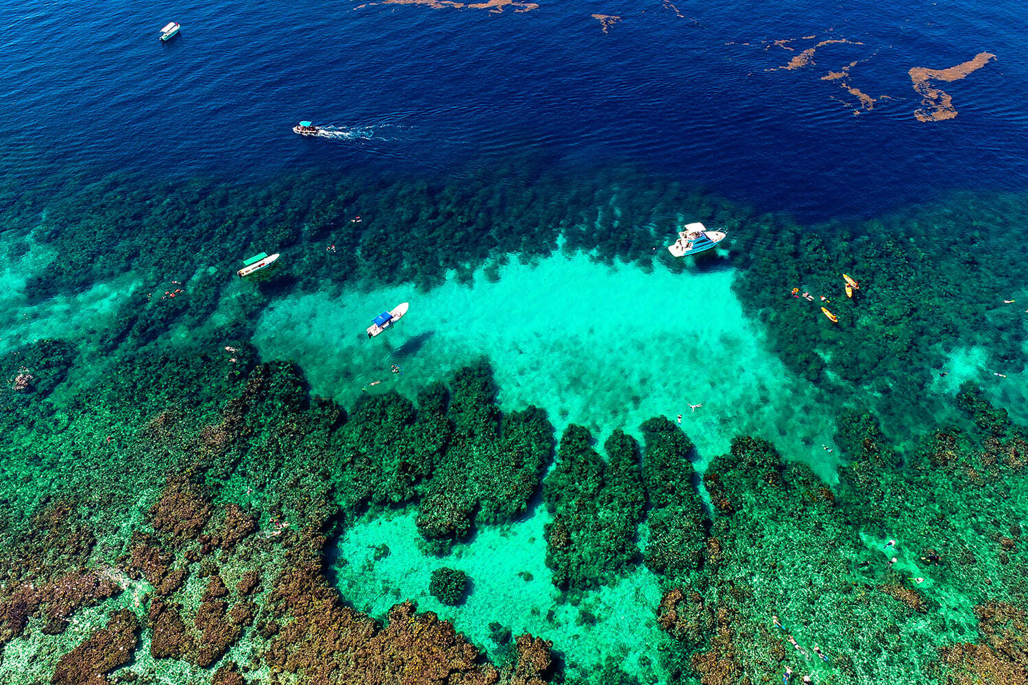 semi-sub glass bottom boat roatan honduras