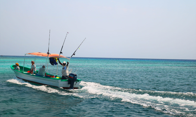 roatan fishing tours