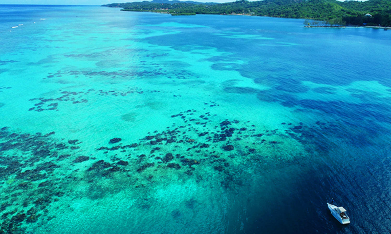 roatan yacht snorkeling