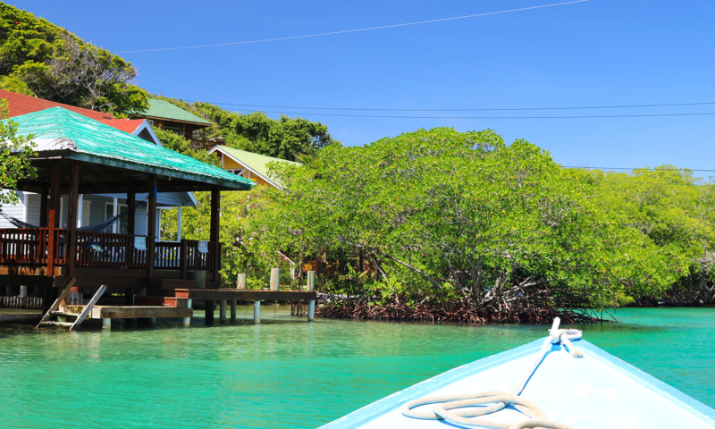 roatan mangroves tour