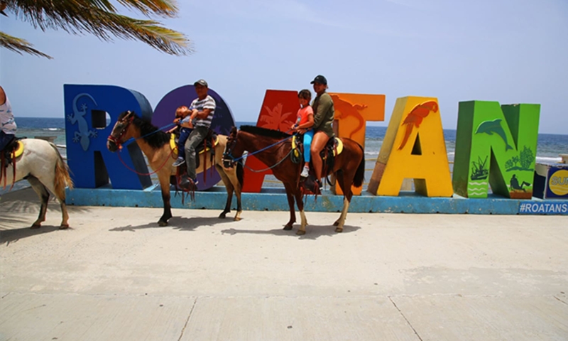 roatan horseback riding