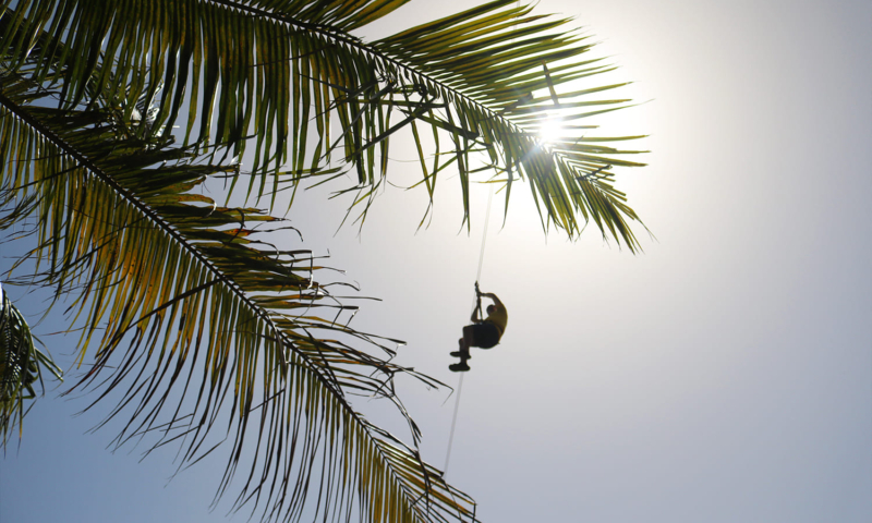 roatan zipline tours