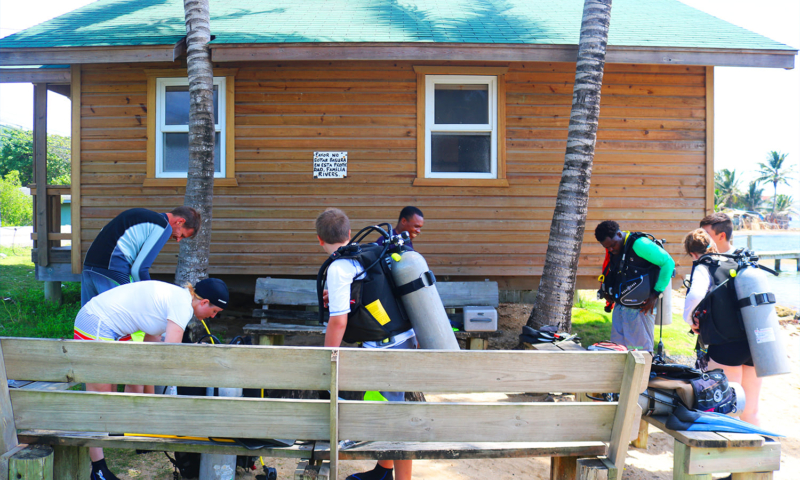 roatan discover diving