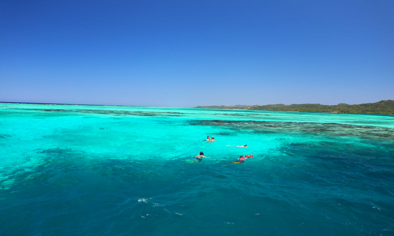 roatan snorkeling