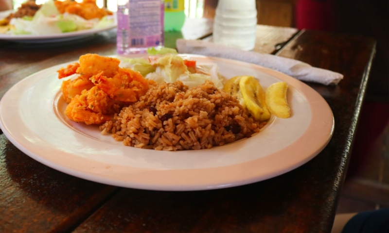 what to do in roatan on your own