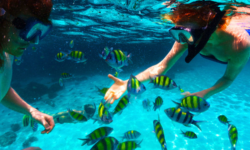 roatan 3 stop snorkeling