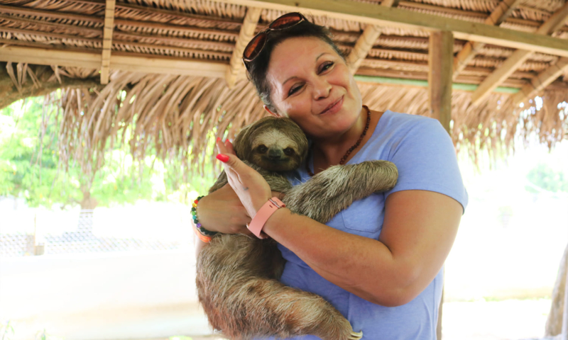 roatan sloth hangout