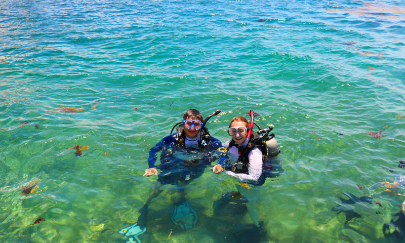 roatan diving cruise passengers