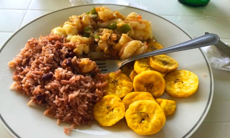 roatan shore excursions