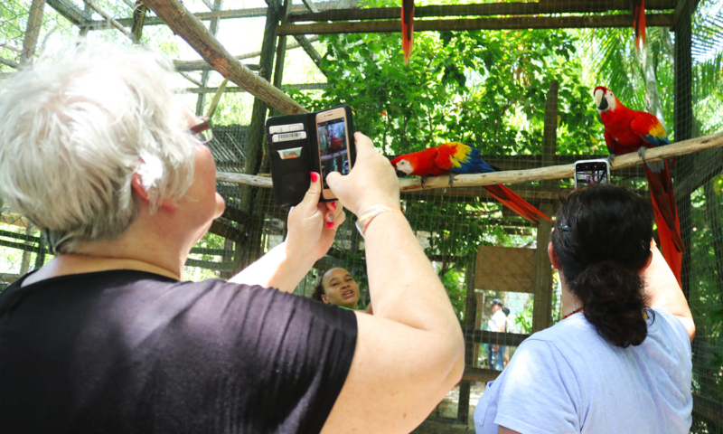 roatan wildlife tours