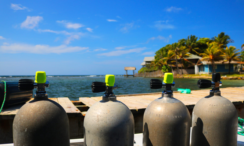 roatan diving packages